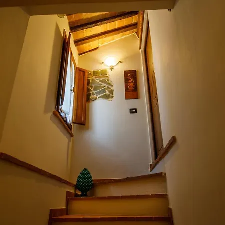 Oda ve Kahvaltı Zocco 3*